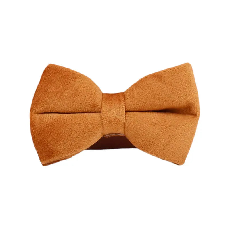 Burnt Orange Dog Collar & Accessories Collection