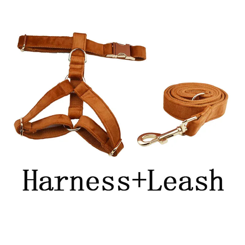 Burnt Orange Dog Collar & Accessories Collection