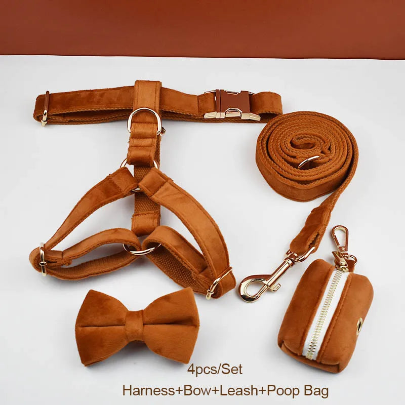 Burnt Orange Dog Collar & Accessories Collection