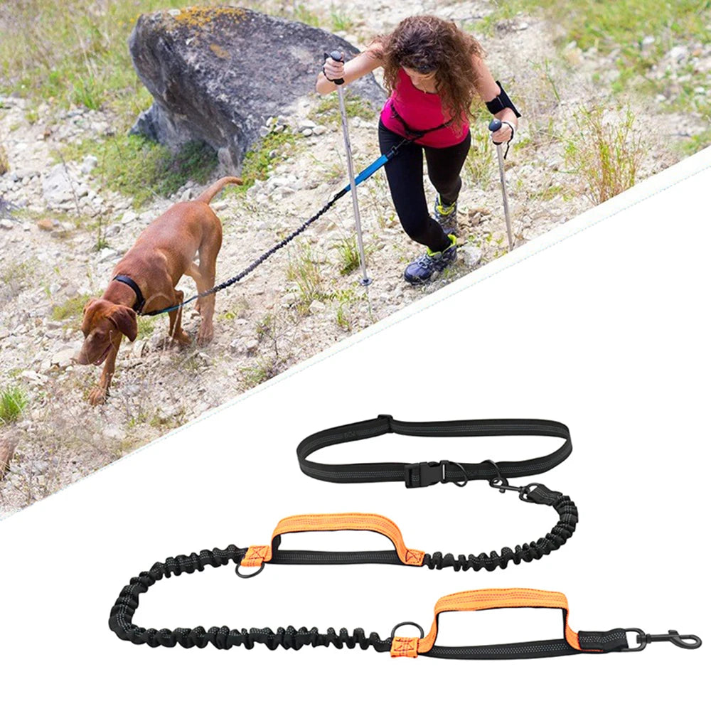 Reflective Hands-Free Running Dog Leash | Elastic Waist Leash