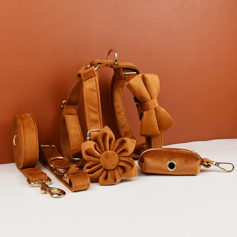 Burnt Orange Dog Collar & Accessories Collection