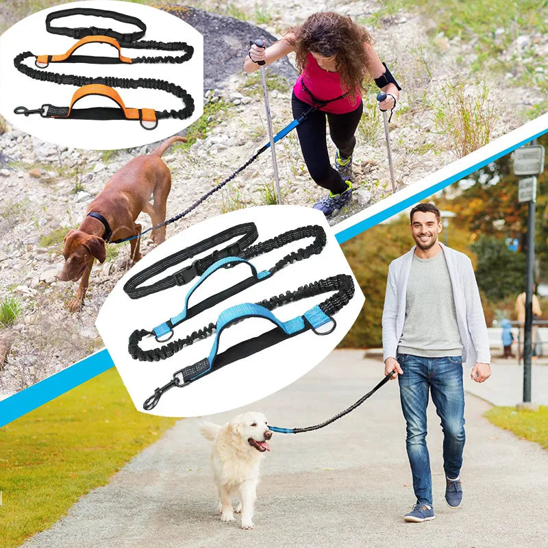 Reflective Hands-Free Running Dog Leash | Elastic Waist Leash