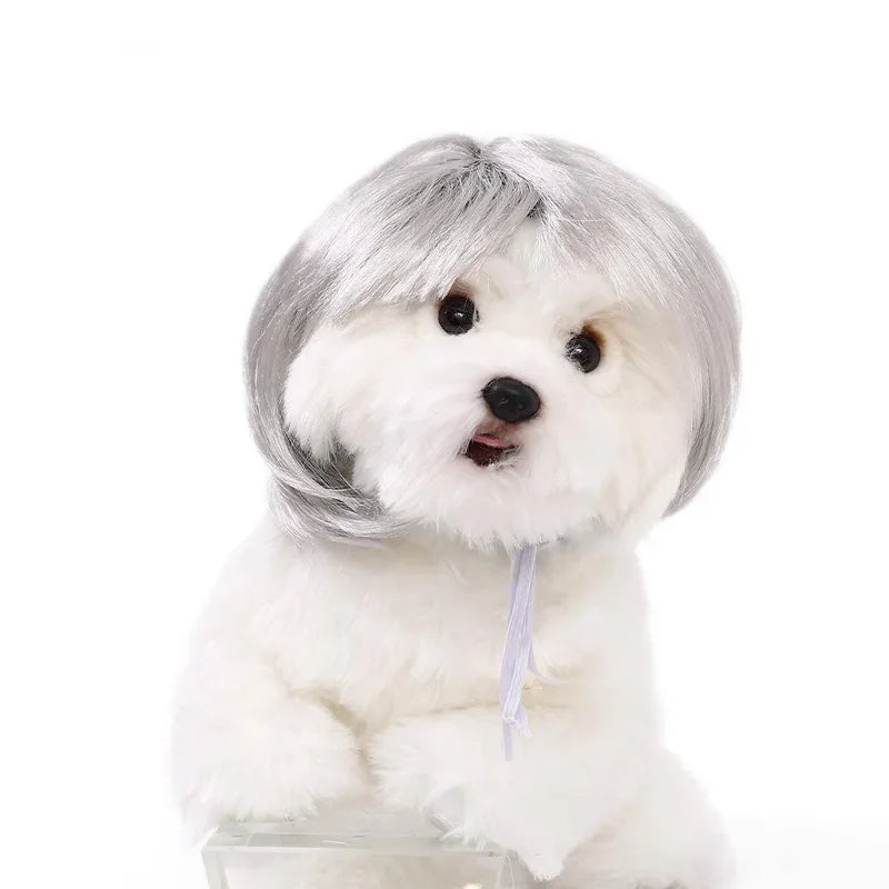 Pet Costume Wig for Cats & Dogs