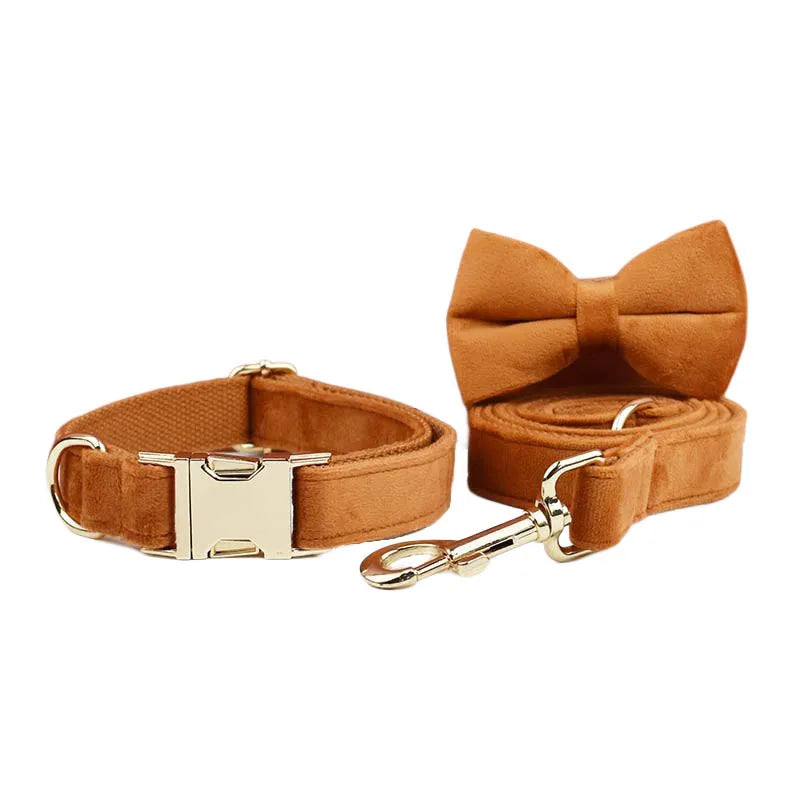 Burnt Orange Dog Collar & Accessories Collection