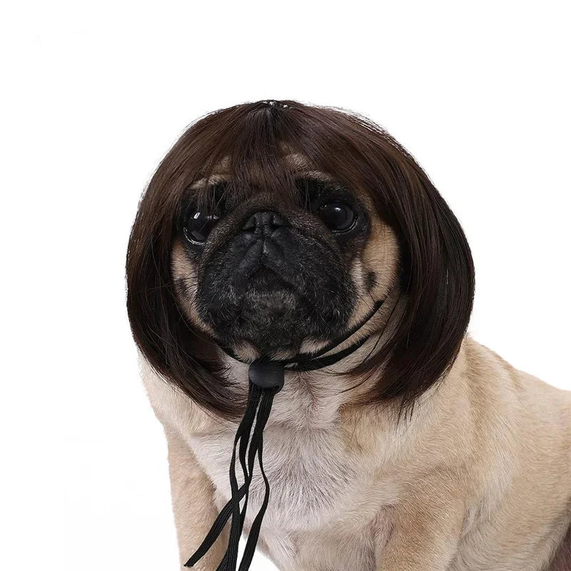 Pet Costume Wig for Cats & Dogs