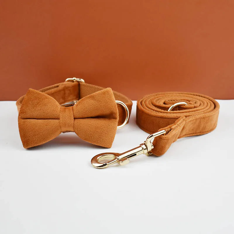 Burnt Orange Dog Collar & Accessories Collection
