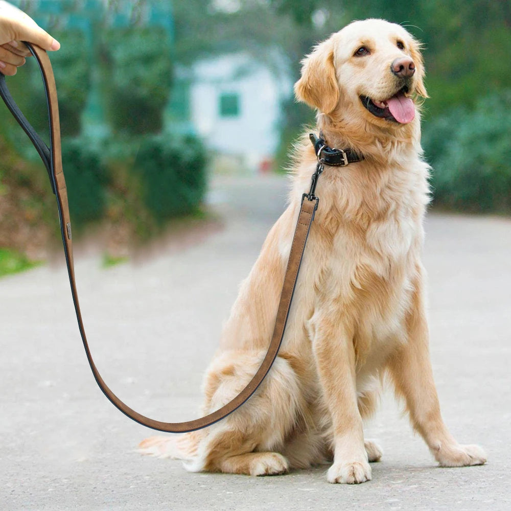Padded Leather Dog Leash