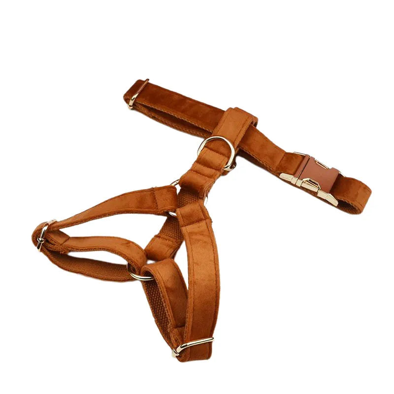 Burnt Orange Dog Collar & Accessories Collection