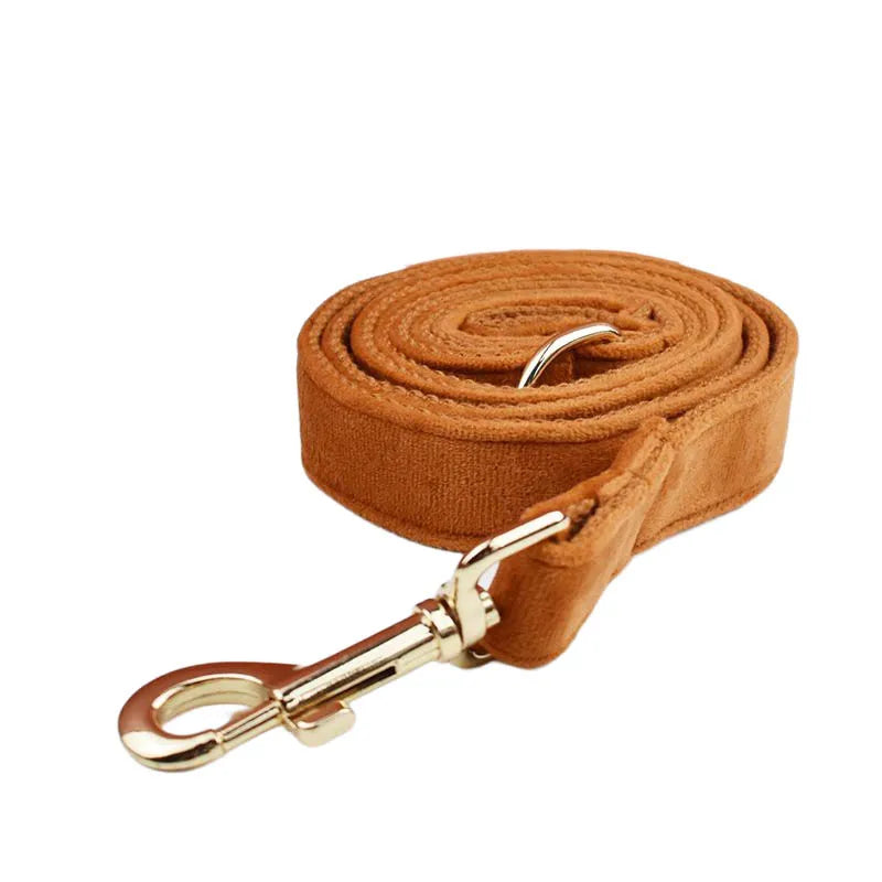 Burnt Orange Dog Collar & Accessories Collection