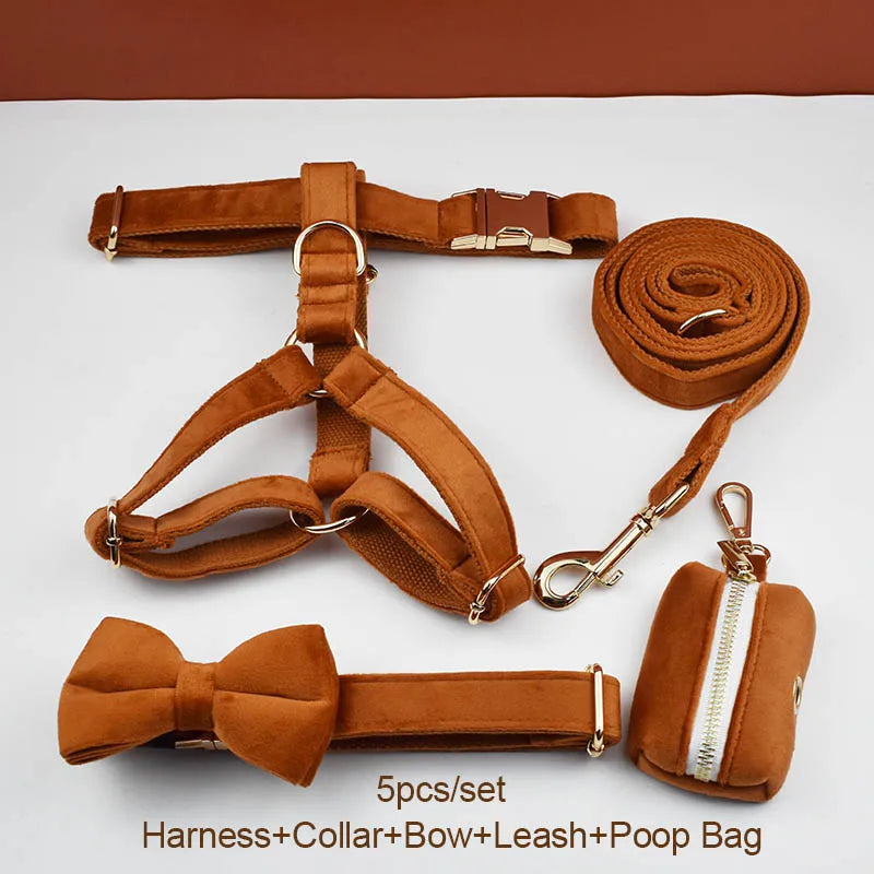 Burnt Orange Dog Collar & Accessories Collection