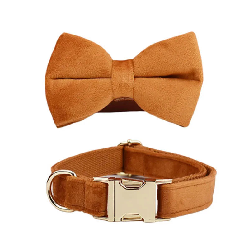 Burnt Orange Dog Collar & Accessories Collection