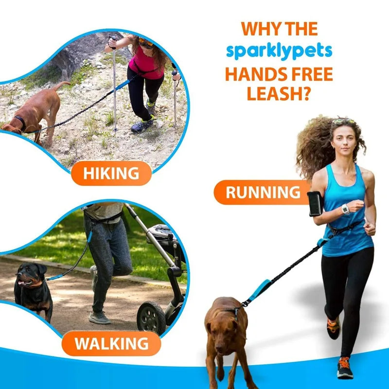 Reflective Hands-Free Running Dog Leash | Elastic Waist Leash