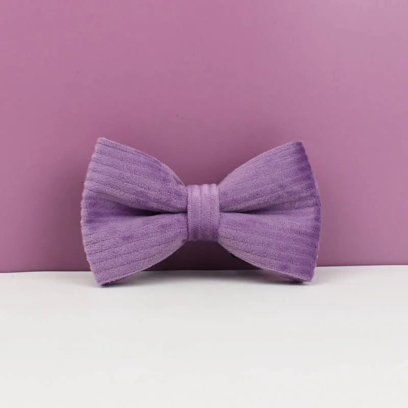 Royal Purple Corduroy Dog Collar & Accessories Collection