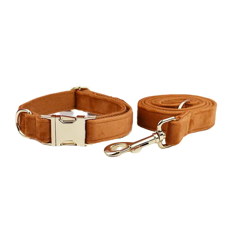 Burnt Orange Dog Collar & Accessories Collection