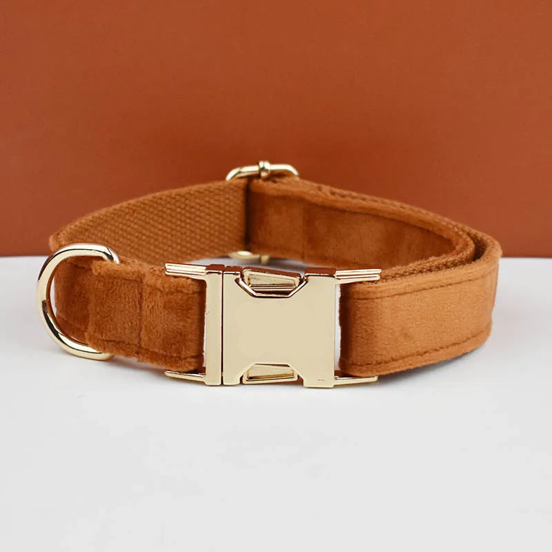 Burnt Orange Dog Collar & Accessories Collection
