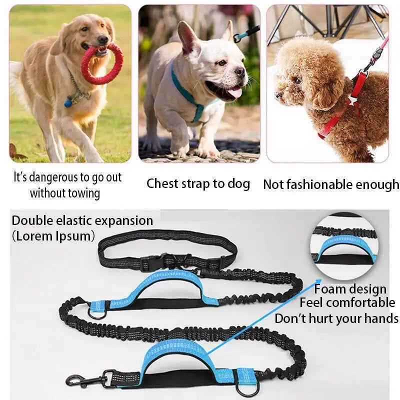 Reflective Hands-Free Running Dog Leash | Elastic Waist Leash