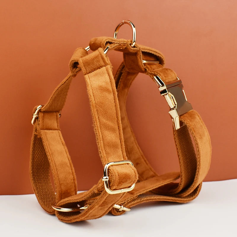 Burnt Orange Dog Collar & Accessories Collection