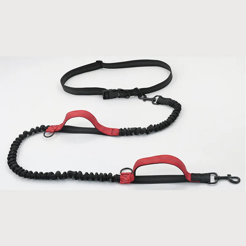 Reflective Hands-Free Running Dog Leash | Elastic Waist Leash