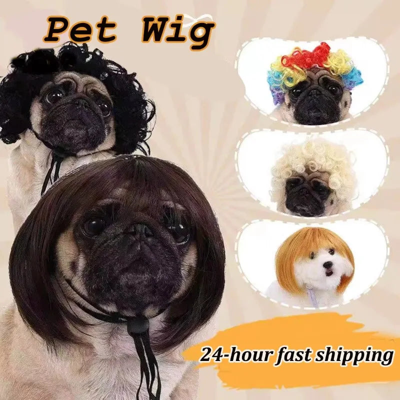 Pet Costume Wig for Cats & Dogs