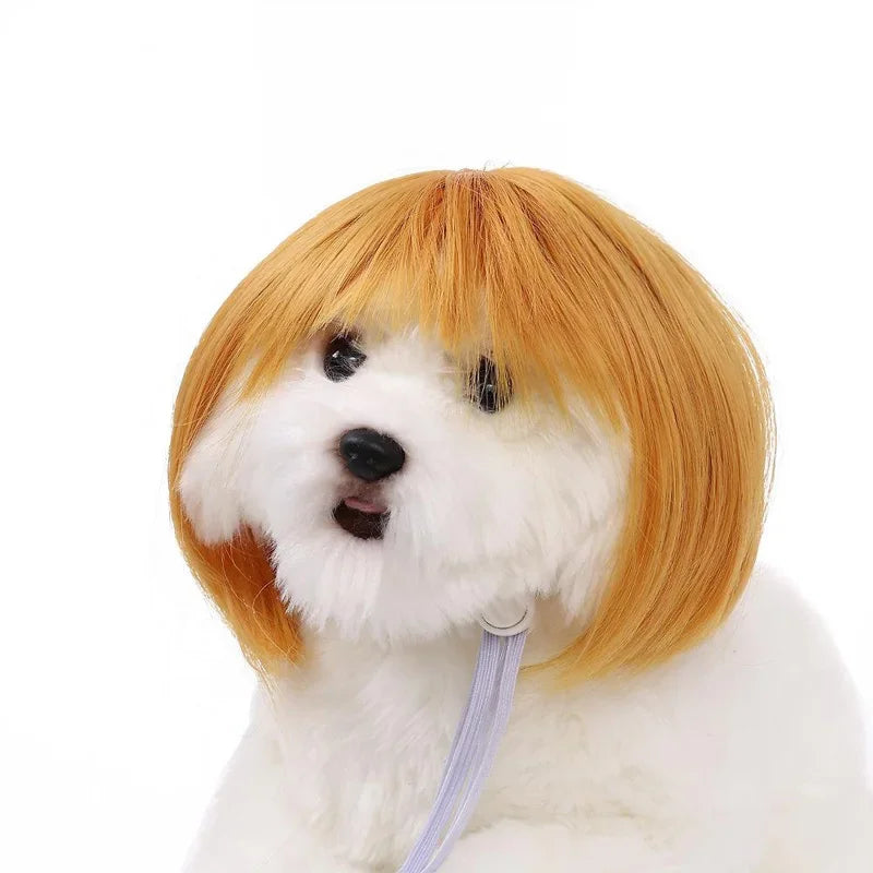 Pet Costume Wig for Cats & Dogs