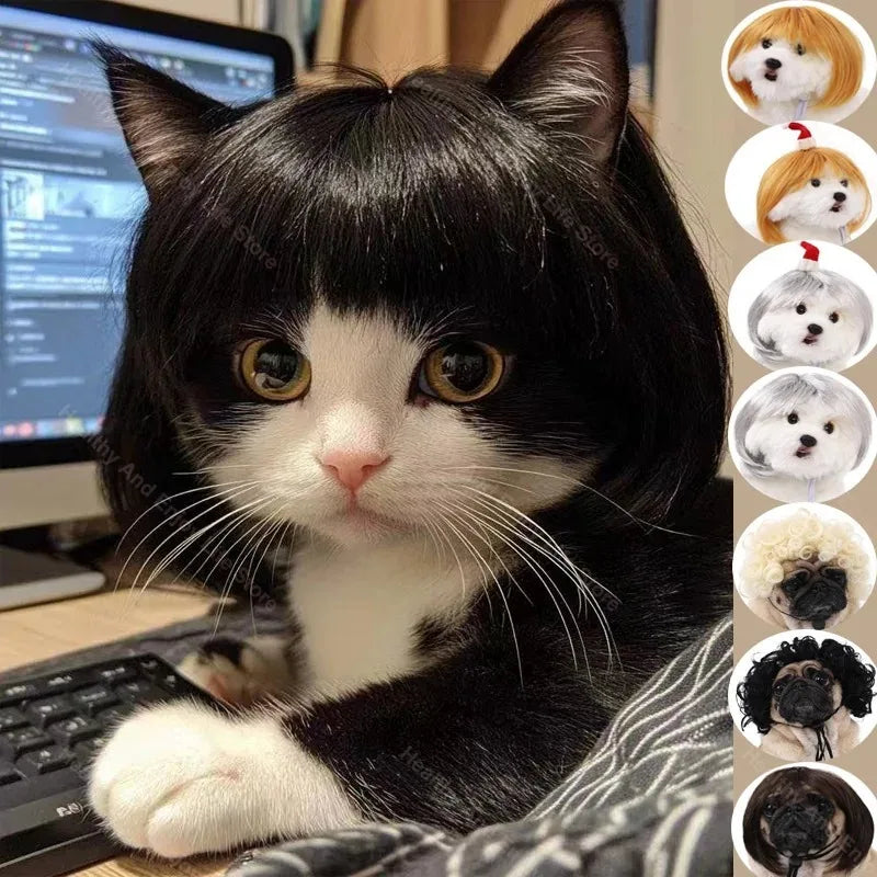 Pet Costume Wig for Cats & Dogs