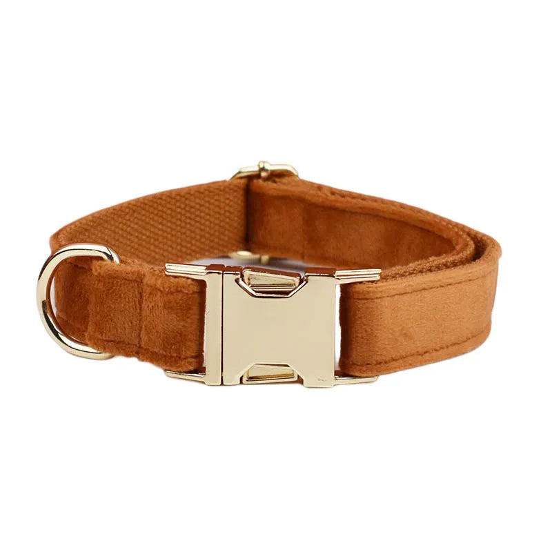 Burnt Orange Dog Collar & Accessories Collection
