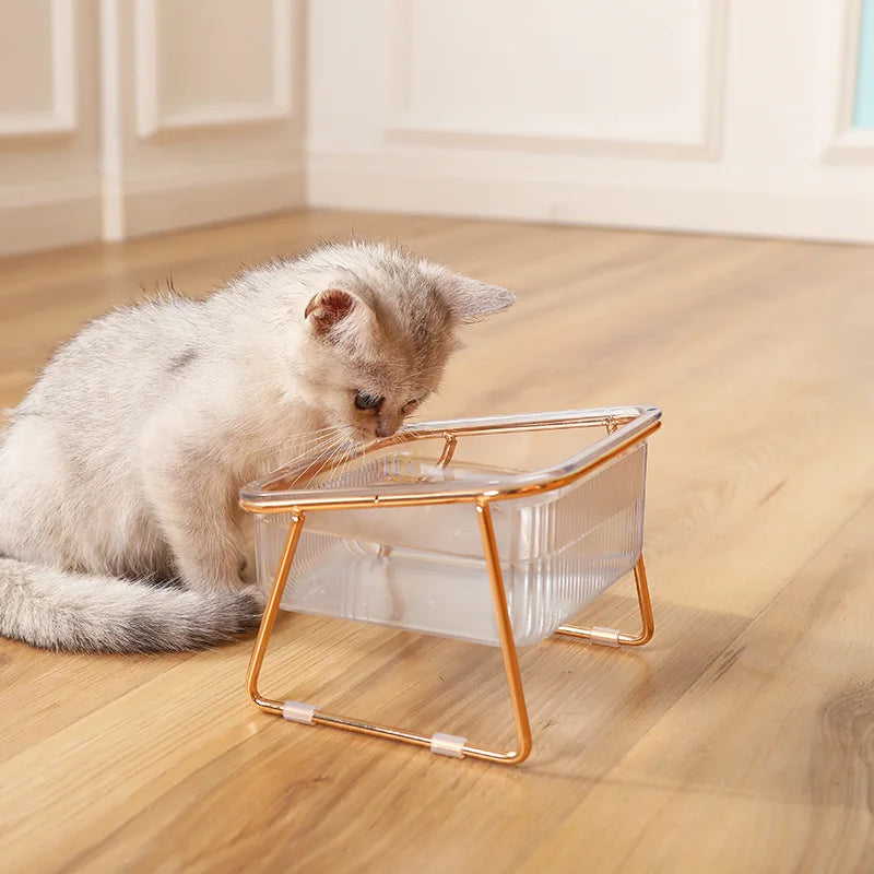 Elevated Cat Bowl Set