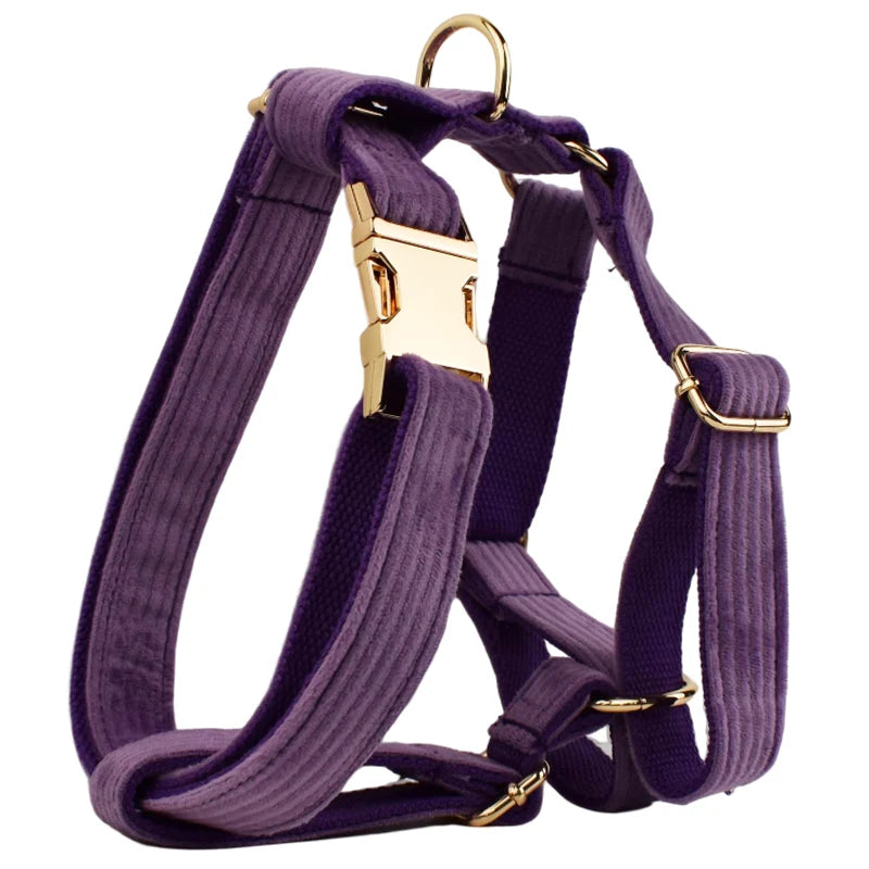 Royal Purple Corduroy Dog Collar & Accessories Collection